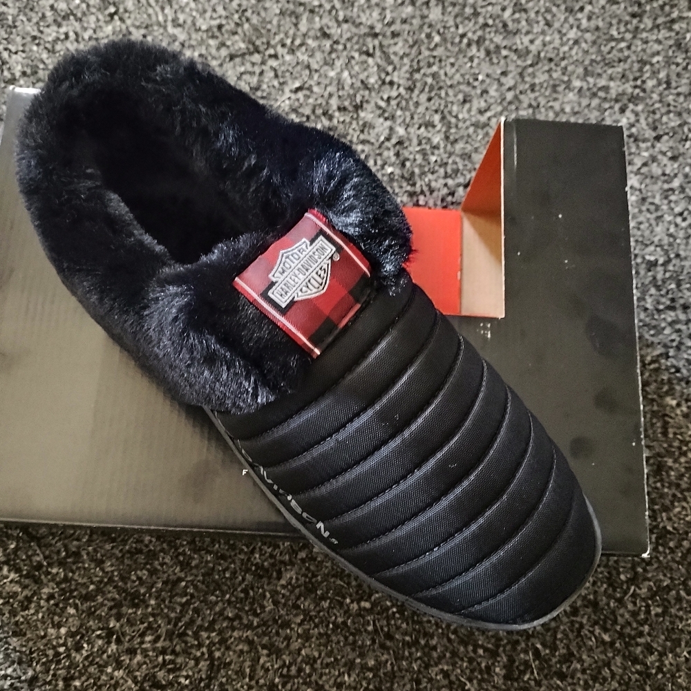 Harley Davidson sleepers